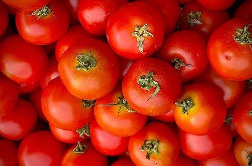 Tomato