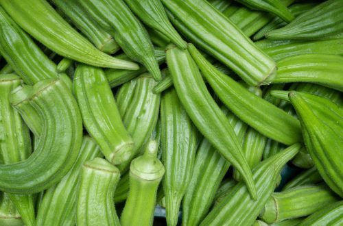 Close-up of fresh green okra pods, showcasing their vibrant color and texture.